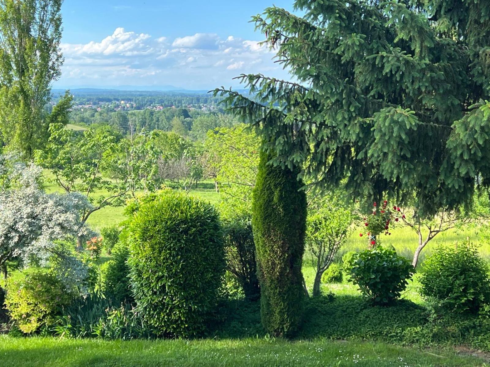Ferienwohnung Dorner Spielfeld Bagian luar foto