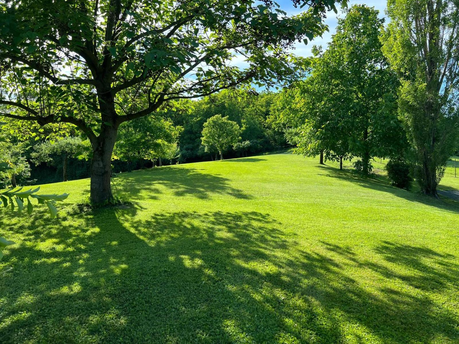Ferienwohnung Dorner Spielfeld Bagian luar foto